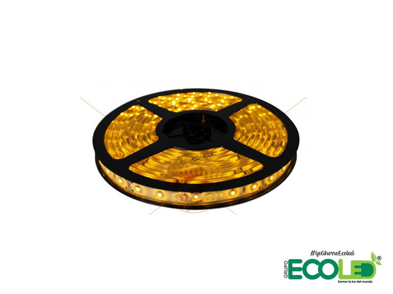 Cinta Led 5 Metros con Conector o Fuente 12V