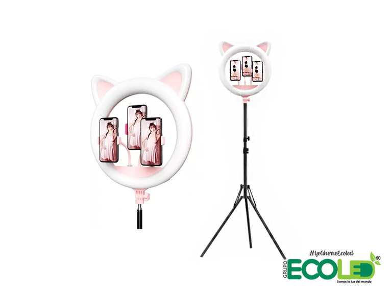 Aro de luz led gato + trípode profesional Fondo transparente